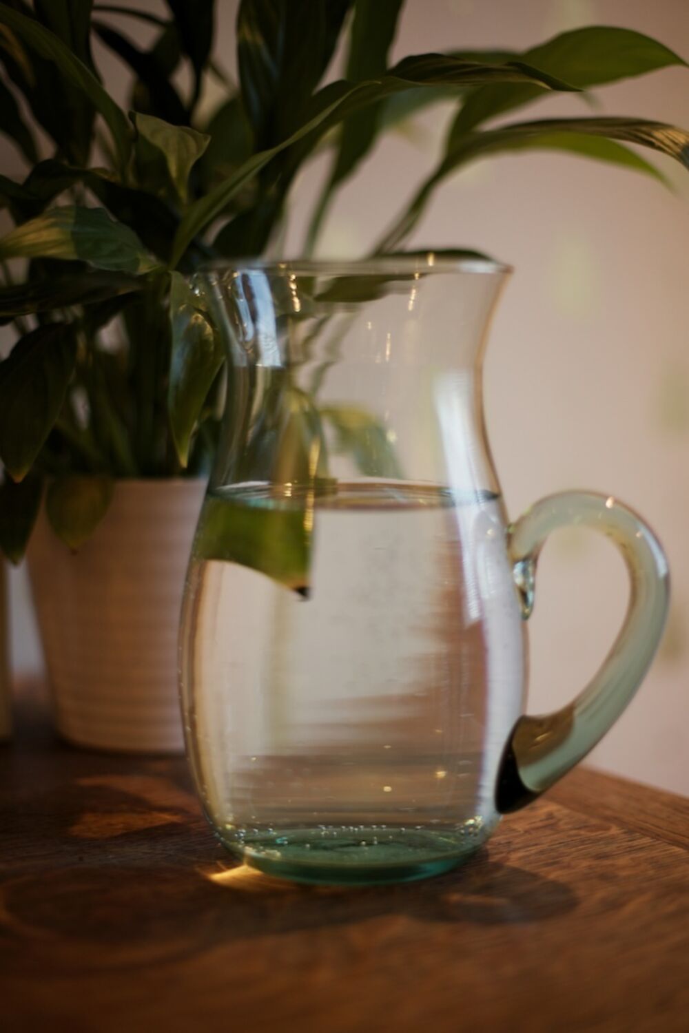 Water jug - Therapy Organics - Retail & Complimentary