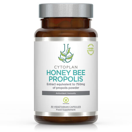 3341 Honey Bee Propolis main