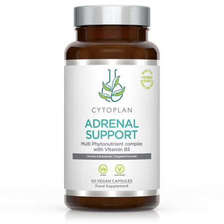 3641 Adrenal Support main