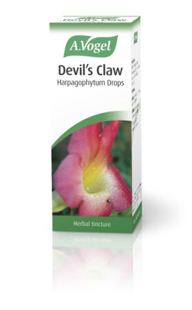 A Vogel Devils Claw 50ml