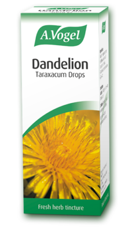 Dandelion Taraxacum Drops 80537 1617092455