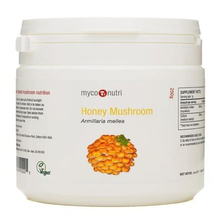 Honey mushroom powder