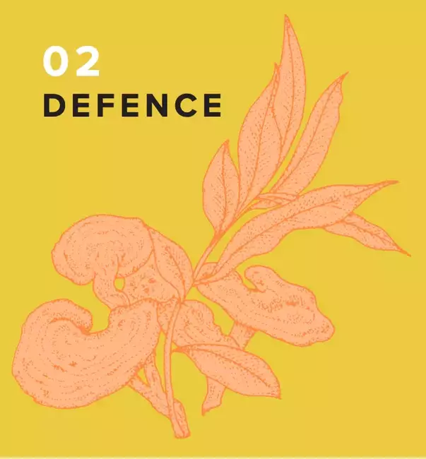 Defence image