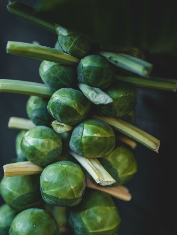 Brussel-Sprouts-Health-Benefits-Alpha-Lipoic-Acid