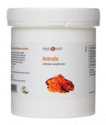Antrodia powder