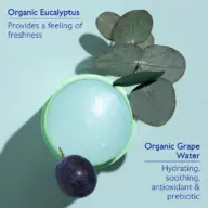 Green jar with eucalyptus leaves and grape. Text: Organic Eucalyptus, Organic Grape Water.
