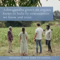 Four people stand in an organic ashwagandha field in India. Text: "Traceable, from farm to capsule.