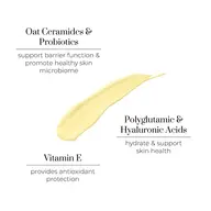 Oat ceramides, probiotics, vitamin E, and acids for skin health and protection. Cream smear in centre.