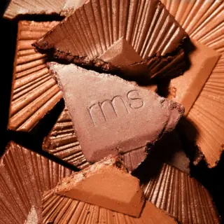 Broken pieces of brown makeup powder with "rms" embossed on one piece.