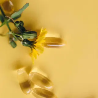 Yellow capsules and a small yellow flower on a matching background.
