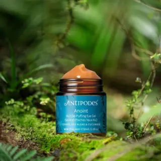 Antipodes Anoint Eye Gel jar on a forest floor with green foliage.