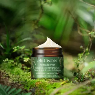 Antipodes Avocado Pear Night Cream jar on a mossy forest floor.