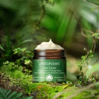 Antipodes Lime Caviar Firming Cream jar on a mossy forest floor.