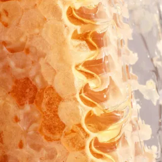 Close-up of honeycomb with golden honey oozing from hexagonal cells.