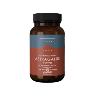 Terranova Astragalus 500mg, 50 vegetarian capsules, vegan, no additives.