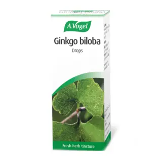A.Vogel Ginkgo biloba drops box with green leaf image. Fresh herb tincture text at bottom.
