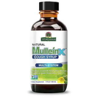 Nature's Answer MulleinX Cough Syrup, 120ml bottle, multi-system support.