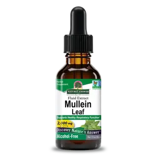 Brown bottle of Mullein Leaf fluid extract, 30ml, alcohol-free, 2000mg per serving.