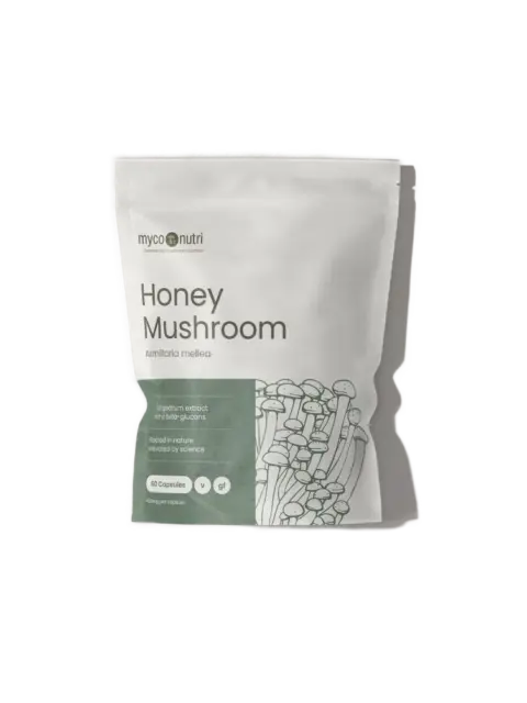Honey Mushroom supplement pack, 60 capsules, Armillaria mellea, gluten-free.