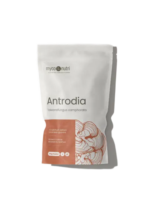 MycoNutri Antrodia powder, 100g, with Taiwanofungus camphorata.