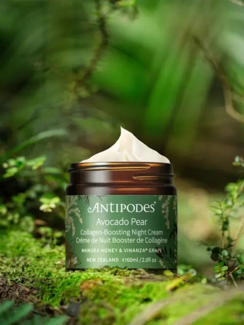 Antipodes Avocado Pear Night Cream jar on a mossy forest floor.