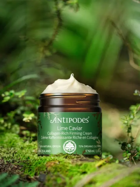 Antipodes Lime Caviar Firming Cream jar on a mossy forest floor.