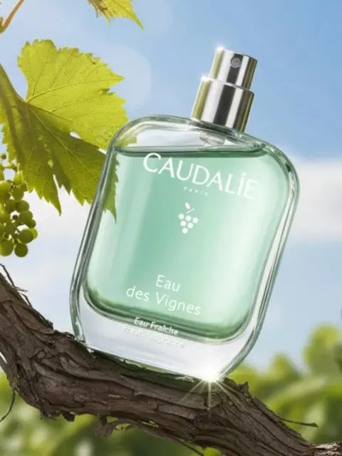 Caudalie Eau des Vignes perfume bottle on a vine with leaves and grapes.