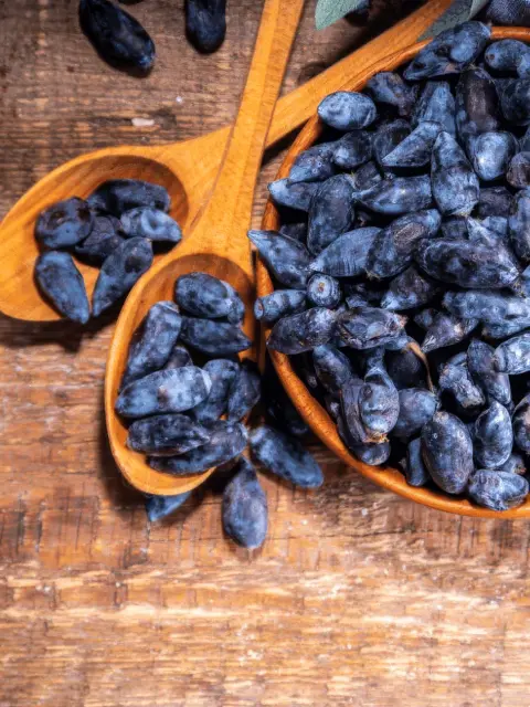 Wooden bowl and spoons filled with dried blue honeysuckle berries on a wooden surface.