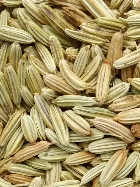 Close-up of dried fennel seeds in various shades of green and brown.