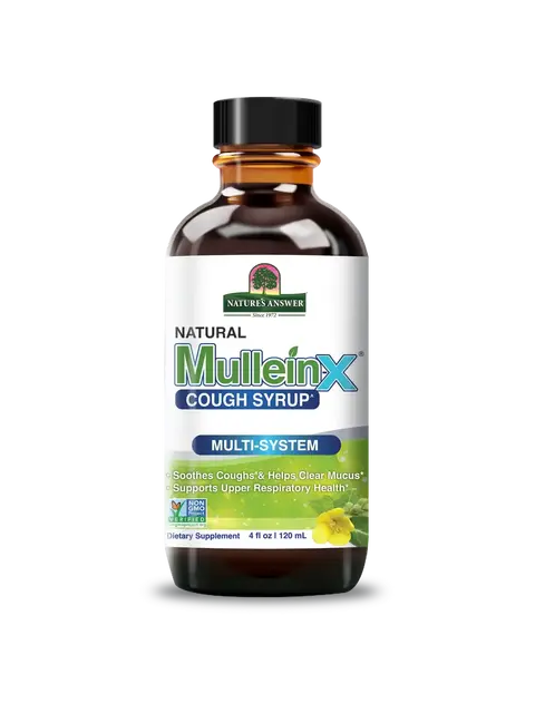 Nature's Answer MulleinX Cough Syrup, 120ml bottle, multi-system support.