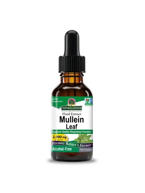 Brown bottle of Mullein Leaf fluid extract, 30ml, alcohol-free, 2000mg per serving.