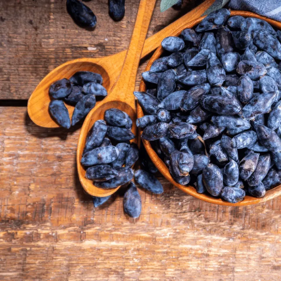 Wooden bowl and spoons filled with dried blue honeysuckle berries on a wooden surface.