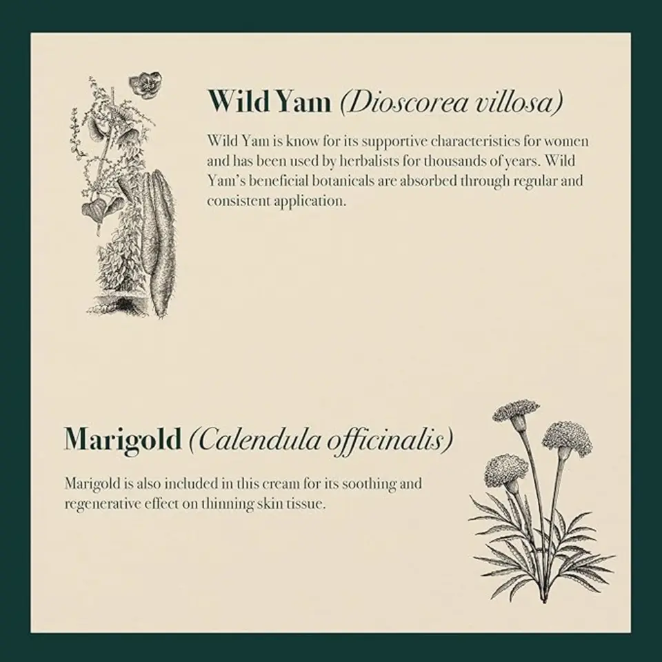 Wild Yam and Marigold text with botanical illustrations on a beige background.