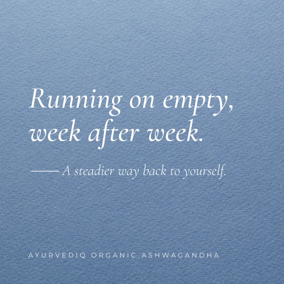 Running on empty, week after week. A steadier way back to yourself. Ayurvediq Organic Ashwagandha.