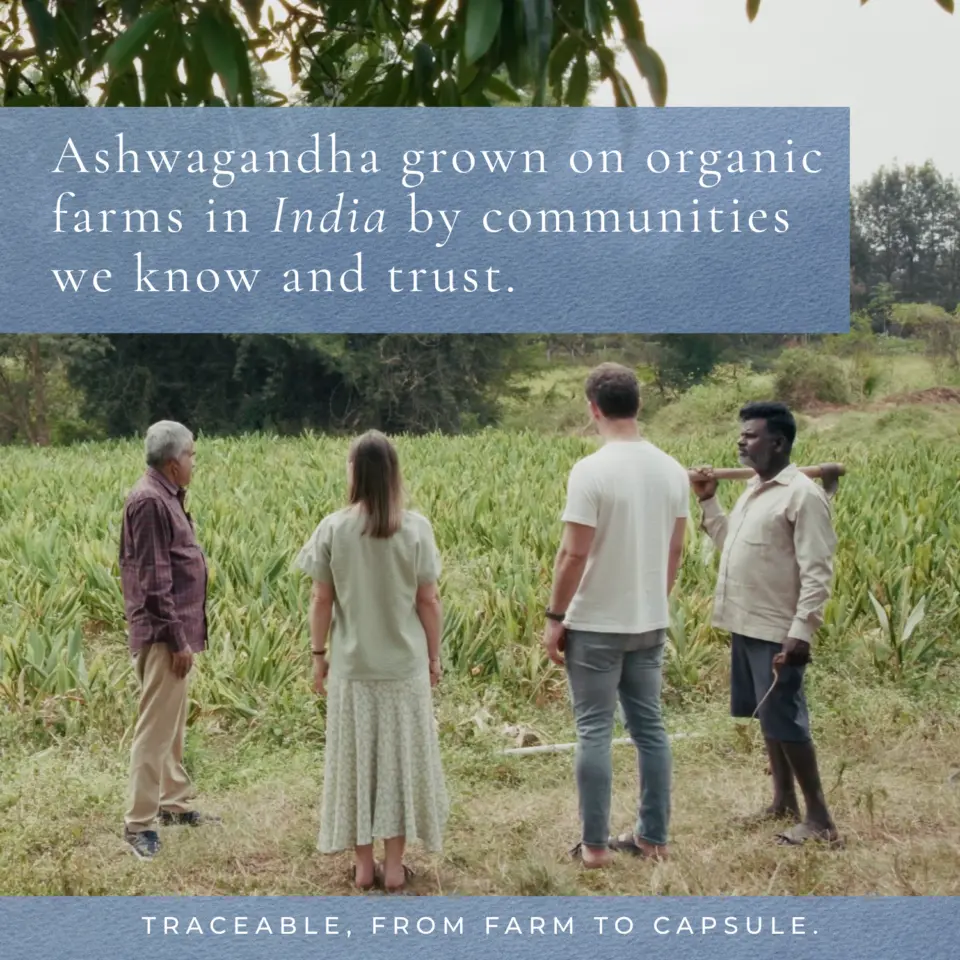 Four people stand in an organic ashwagandha field in India. Text: "Traceable, from farm to capsule.