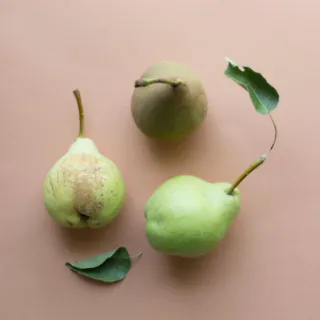 Three pears with leaves on a light brown background.