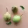 Three pears with leaves on a light brown background.