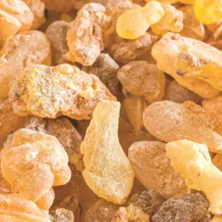 Close-up of amber-coloured frankincense resin pieces.