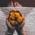 Hands holding orange and yellow flowers over a textured white surface.