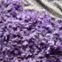 Purple saffron flowers on a patterned fabric background.