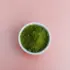 Green powder in a white bowl on a pink background.