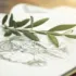 Open book with botanical illustration and green branch on top.