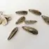 Sunflower seeds and empty shells on a white surface.
