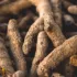 Close-up of dried roots with rough, textured surfaces in a pile.
