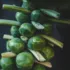 Brussels sprouts on a stalk with dark background.