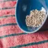 Sunflower seeds in a blue bowl on a red and green striped fabric.