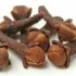 Dried cloves scattered on a white background.