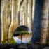 Glass sphere on forest floor reflecting trees and sky.