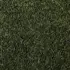 Close-up of green fennel seeds densely packed together.
