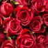 Red roses in full bloom, closely arranged with visible green leaves.